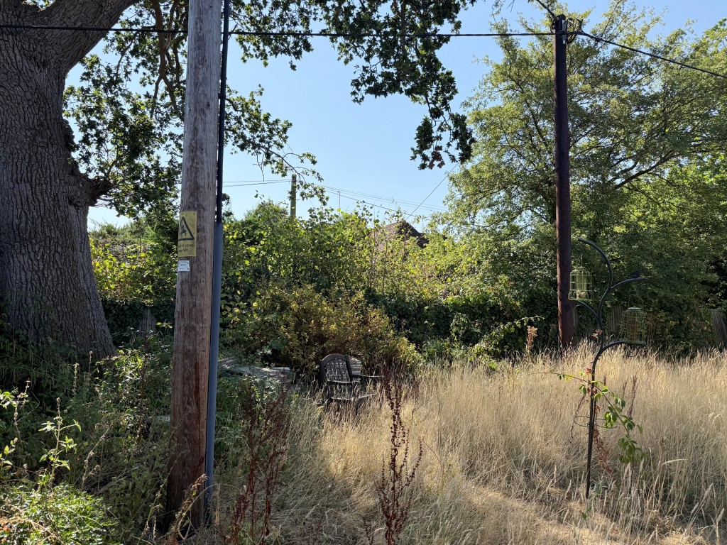 Lot: 49 - BUILDING PLOT IN ESTABLISHED RESIDENTIAL LOCATION - Side view of plot with trees and pole